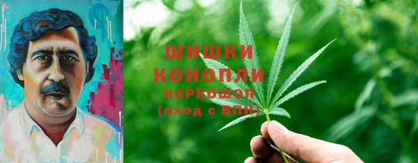 ешки Ельня