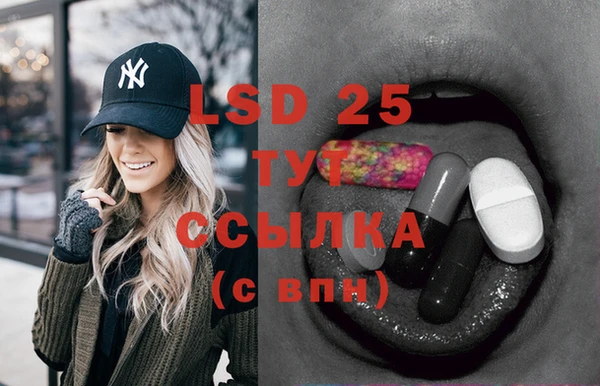 ешки Ельня