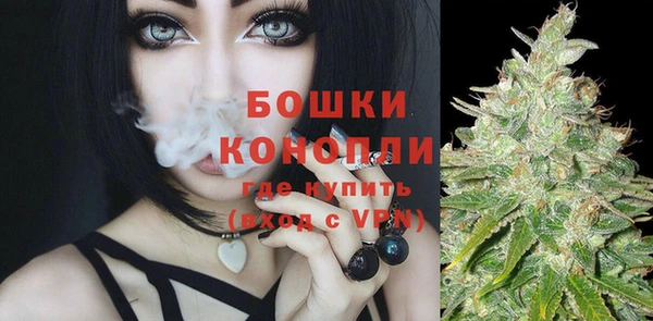 Альфа ПВП Елабуга