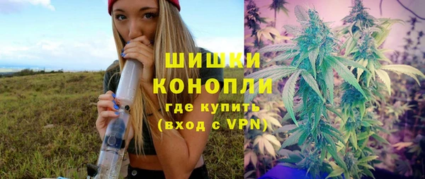 ешки Ельня