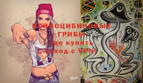 ешки Ельня