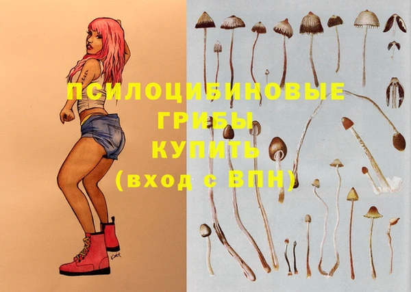 дмт Елизово