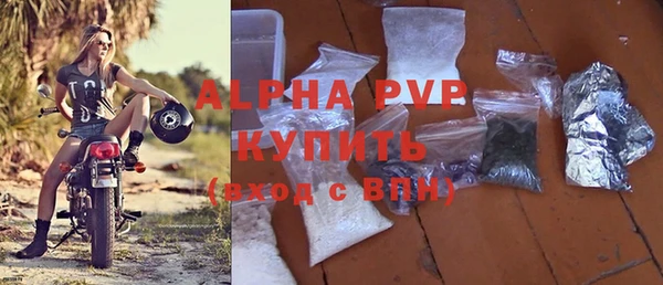 дмт Елизово