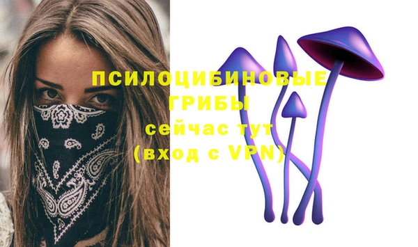 Альфа ПВП Елабуга