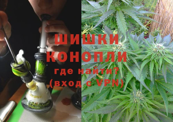 дмт Елизово