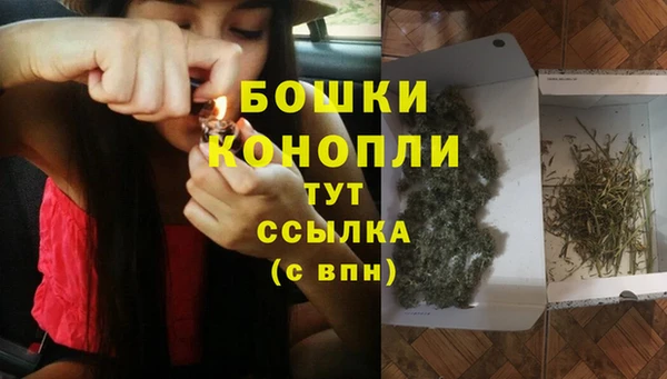 ешки Ельня
