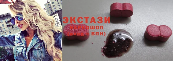 ешки Ельня