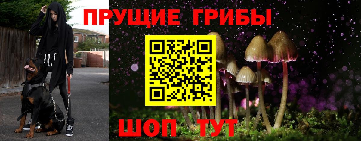 Галлюциногенные грибы мицелий Кинель